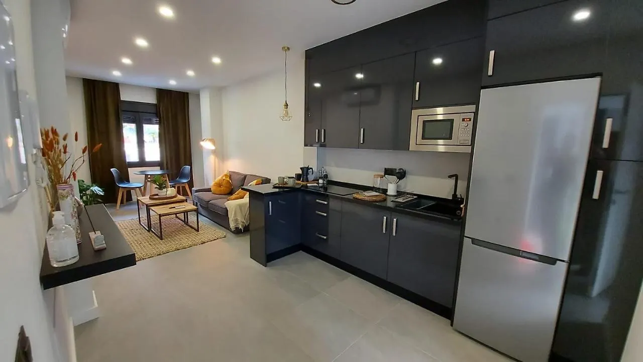 Love Rent4 Malaga City Spain